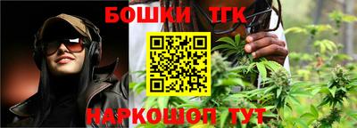 гашик Гай