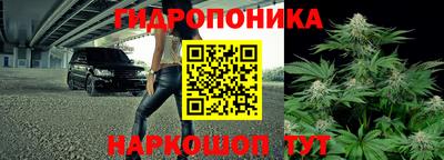 гашик Гай